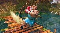 Cкриншот Street Fighter 4, изображение № 490859 - RAWG