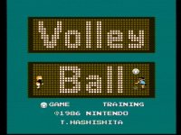 Cкриншот Volleyball (1986), изображение № 738585 - RAWG