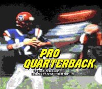 Cкриншот Pro Quarterback, изображение № 760083 - RAWG