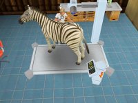 Cкриншот Pet Vet 3D Wild Animal Hospital, изображение № 3297932 - RAWG