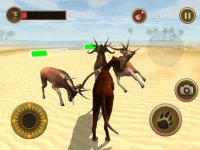 Cкриншот Bird Dog Chase Simulator, изображение № 1835861 - RAWG