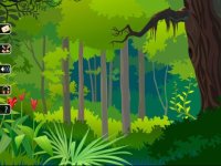 Cкриншот Jungle Fun HD, изображение № 1748115 - RAWG