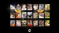 Cкриншот Kitty Cat: Jigsaw Puzzles, изображение № 146099 - RAWG