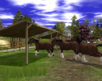 Cкриншот Wildlife Park 2. Долина лошадей, изображение № 151713 - RAWG