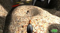 Cкриншот Insect: Bombardier beetle, изображение № 2648584 - RAWG