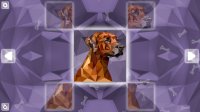 Cкриншот Poly Puzzle: Dogs, изображение № 3179633 - RAWG