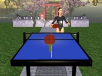 Cкриншот Zen Table Tennis, изображение № 949143 - RAWG