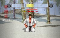 Cкриншот Karate Master 2 Knock Down Blow, изображение № 136680 - RAWG