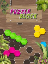 Cкриншот Puzzle Solving - Block Game, изображение № 2098891 - RAWG