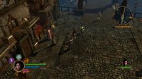 Cкриншот Dungeon Siege 3, изображение № 555626 - RAWG