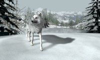 Cкриншот Нэнси Дрю. Белый волк Ледяного ущелья, изображение № 98056 - RAWG