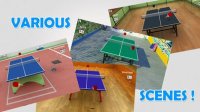 Cкриншот Virtual Table Tennis, изображение № 927670 - RAWG