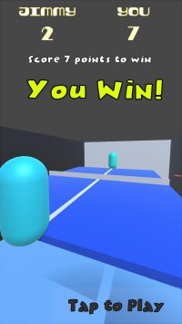 Cкриншот Ping Pong Tournament, изображение № 2185673 - RAWG