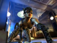 Cкриншот Catwoman, изображение № 392797 - RAWG