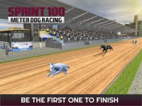 Cкриншот Sprint 100 Meter Dog Racing: Race Dogs On Tracks, изображение № 1780161 - RAWG