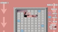 Cкриншот Ball Hentai Puzzle, изображение № 3598794 - RAWG