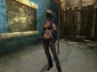 Cкриншот Catwoman, изображение № 392796 - RAWG