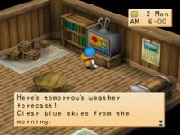 Cкриншот Harvest Moon: Back To Nature, изображение № 728463 - RAWG