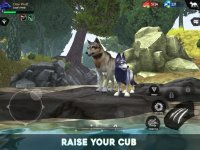 Cкриншот Wolf Tales - Home & Heart, изображение № 2366956 - RAWG