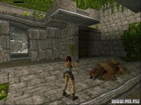 Cкриншот Tomb Raider, изображение № 320408 - RAWG