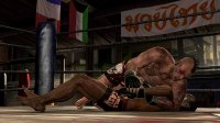 Cкриншот Supremacy MMA, изображение № 557119 - RAWG