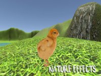 Cкриншот Chick Simulator, изображение № 1705475 - RAWG