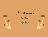 Cкриншот Mushrooms in the Wild, изображение № 2577010 - RAWG