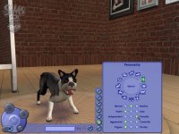 Cкриншот Sims 2: Питомцы, The, изображение № 457881 - RAWG