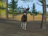 Cкриншот Deer Hunter 2004, изображение № 356745 - RAWG