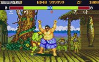 Cкриншот Street Fighter II: The World Warrior (1991), изображение № 309068 - RAWG