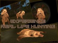Cкриншот Wild Bear Hunter 2016: Jungle Beast Hunting Simulation 3d: full fun free game, изображение № 1615632 - RAWG