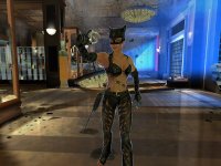 Cкриншот Catwoman, изображение № 392805 - RAWG