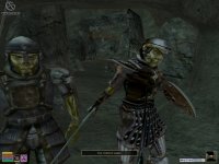 Cкриншот The Elder Scrolls 3: Bloodmoon, изображение № 362002 - RAWG