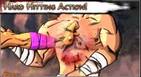 Cкриншот Martial Arts Brutality Premium, изображение № 2515801 - RAWG