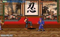 Cкриншот Action Fighter (1994), изображение № 334892 - RAWG