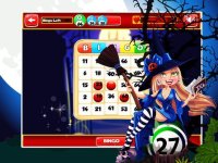 Cкриншот Bingo of Fortune Wheel, изображение № 946401 - RAWG