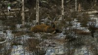 Cкриншот Elk Simulator, изображение № 1831141 - RAWG