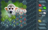 Cкриншот HexLogic - Zoo, изображение № 1529536 - RAWG