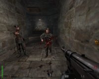 Cкриншот Return to Castle Wolfenstein, изображение № 228776 - RAWG