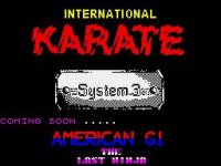 Cкриншот International Karate, изображение № 732108 - RAWG