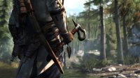 Cкриншот Assassin’s Creed III, изображение № 269135 - RAWG