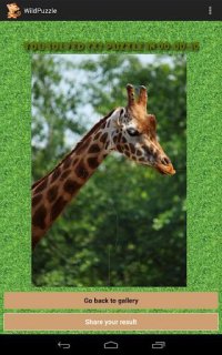 Cкриншот Wild Animal Puzzle Free, изображение № 1459894 - RAWG