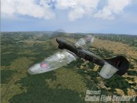 Cкриншот Microsoft Combat Flight Simulator 3: Battle for Europe, изображение № 311278 - RAWG