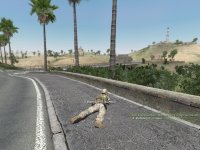 Cкриншот Arma: Armed Assault, изображение № 430664 - RAWG