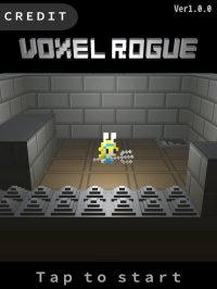 Cкриншот VoxelRogue, изображение № 1694263 - RAWG