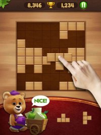 Cкриншот Block Puzzle Wood, изображение № 903348 - RAWG