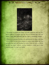Cкриншот Gamebook Adventures 5: Catacombs of the Undercity, изображение № 951820 - RAWG