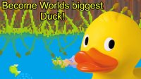 Cкриншот Duck Simulator 2020, изображение № 2373006 - RAWG