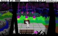 Cкриншот Leisure Suit Larry 3 - Passionate Patti in Pursuit of the Pulsating Pectorals, изображение № 712686 - RAWG