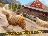 Cкриншот Sheep Racing Adventure in The Tiny Virtual Pet Town, изображение № 871939 - RAWG